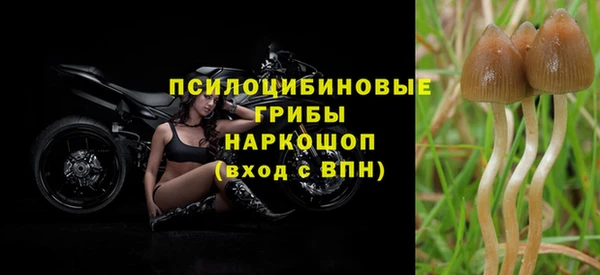 мескалин Карпинск
