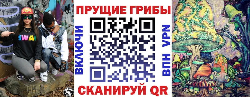 Купить  Ермолино  Псилоцибиновые грибы Cubensis 